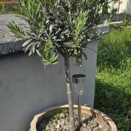 Maison Proche Clermont-fd Entre Chu Et Cezeaux -parking Dom wakacyjny Beaumont (Puy-de-Dome)